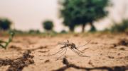 Cambio climático y contaminación agravan el cáncer pulmonar y otras enfermedades, alertan médicos