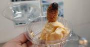 Estudiantes crean helado nutritivo elaborado con larvas de escarabajo