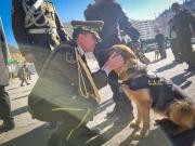 Diez canes de la Policía Boliviana son jubilados tras años de servicio y serán adoptados por familias