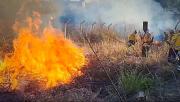 Incendio forestal moviliza a equipos de emergencia en inmediaciones del Parque Nacional Tunari