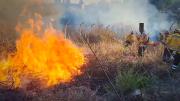 Incendio en el ingreso al Parque Nacional Tunari amenaza viviendas