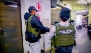 Incautan encomiendas con droga que iban rumbo a Asia