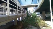 Denuncian despilfarro de Bs 500 millones en la sede de la Unasur, en Cochabamba