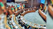 La ALP urge al gobierno enviar el paquete de leyes fundamentales para iniciar el debate parlamentario