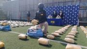 Desarticulan red de narcotráfico en Chile; un boliviano fue detenido con más de 805 kilos de cannabis