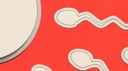 Por qué la infertilidad masculina sigue sin recibir la atención necesaria: Se presupone que el problema es de la mujer