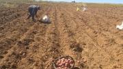 Plataforma Nacional de Suelos: incendios, agroquímicos y sobrepastoreo agravan la crisis de los suelos en Bolivia