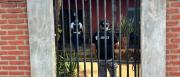 Allanan inmuebles por el doble crimen en San Ignacio