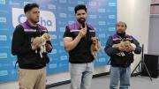 Más de 25 cachorros buscan un hogar; hay campaña de adopción el 18 y 25 de julio