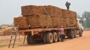 Tras descartarse droga en cargamentos de madera, Gobierno lamenta que se dañe a toda una industria