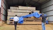 Rodrigo Paz y JP Velasco respaldan al sector forestal y piden proteger las exportaciones