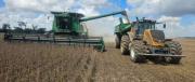La falta de diésel pone en riesgo 800.000 t de soya