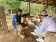 Tras 13 años, Bolivia realizará un nuevo Censo Agropecuario para actualizar la radiografía del campo
