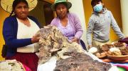 Gobierno negocia el ingreso del charque de llama boliviano al mercado chileno