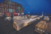 La falsa alarma sobre la madera costó millones y frenó exportaciones