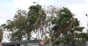 Senamhi emite alerta para cinco departamentos por fuertes vientos