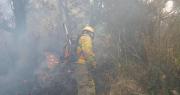 Cochabamba: Bomberos retoman el combate contra el incendio que afecta al Parque Nacional Tunari