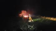 Incendio en Otuquis: 60 rescatistas combaten el fuego que cruzó desde la frontera con Brasil
