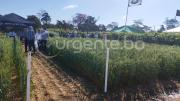 Este año fue el que más nos golpeó: Productores requieren hasta 3 millones de litros de diésel al día