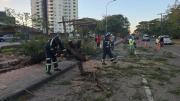 Emergencias atiende 16 incidentes por fuertes vientos