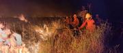 Después de cinco horas, controlan incendio forestal en la capitanía de Puerto Mayor Busch