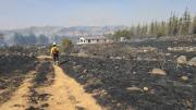 Tarija: Incendios arrasaron con 3.000 hectáreas y ABT alista denuncia contra responsables