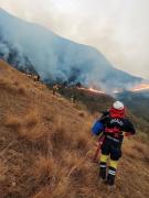 Plantean endurecer sanciones para y crear el delito de ecocidio