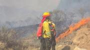 El fuego avanza en Tarija y mantiene bajo amenaza a zonas pobladas