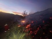 Bomberos controlan incendio de vegetación en la carretera Potosí–Sucre y evitan su propagación