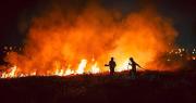 Bomberos ante incendios: “La gente no entiende que no debe quemar”