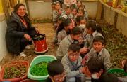 La maestra que decidió volver a la tierra… y terminó sembrando una lección para toda Bolivia