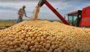 El Censo Agropecuario costará $us 39 millones, contará con 8.000 empadronadores pagados y cubrirá más de 1 millón de unidades productivas