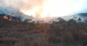 Falta de diésel complica a sectores y la lucha contra incendios; surgen críticas al descargo del Gobierno