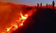 Tarija declara emergencia y el Gobierno pide investigar las causas de los incendios