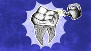 Los científicos que buscan que los dientes que perdemos vuelvan a crecer