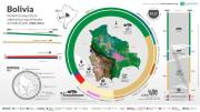 Bolivia se incorpora a la vigilancia global de bosques con el lanzamiento de MapBiomas Alerta