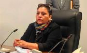 Jefa de bancada del PDC pide que Rodrigo y Samuel se sienten a subsanar diferencias