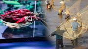 Bolivia suma al Food Atlas de la UNESCO el ají chuquisaqueño y la pesca tradicional Weenhayek