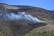 ABT se suma a las denuncias penales contra los incendiarios en Tarija