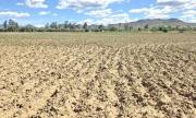 21 municipios de Chuquisaca se declararon en emergencia por la sequía