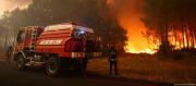 LOS INCENDIOS ARRASAN MÁS SUPERFICIE QUE NUNCA EN FRANCIA