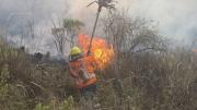 Ganaderos del Beni advierten cinco meses de incendios y cuestionan normas del Gobierno