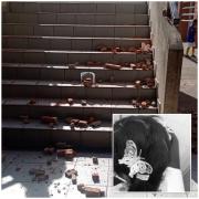 Niña de seis años resulta herida en colegio: Alcaldía descarta lesiones graves