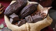 Bolivia proyecta al cacao como tesoro de la gastronomía mundial
