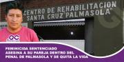 Feminicida sentenciado asesina a su pareja dentro del penal de Palmasola y se quita la vida