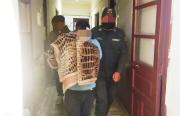 Oruro: Pruebas presentadas por la Fiscalía derivaron en sentencia para autor de homicidio