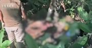 Hallan los cuerpos decapitados de dos hombres en una zona rural de Yapacaní