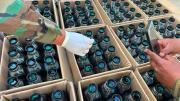 FELCN frustra envío de 1.643 botellas con cocaína líquida camuflada como vinagre rumbo a Luxemburgo