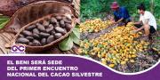 El Beni será sede del Primer Encuentro Nacional del Cacao Silvestre para impulsar su proyección internacional