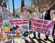 SEDES lanza campaña para eliminar criaderos de mosquitos